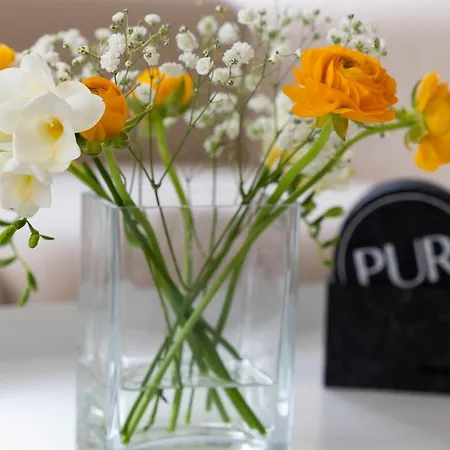 Pur A5 * Wustrow (Fischland)